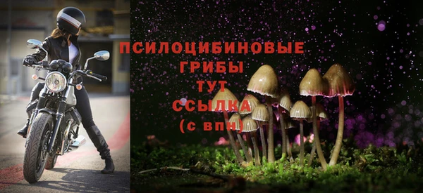 меф Нягань