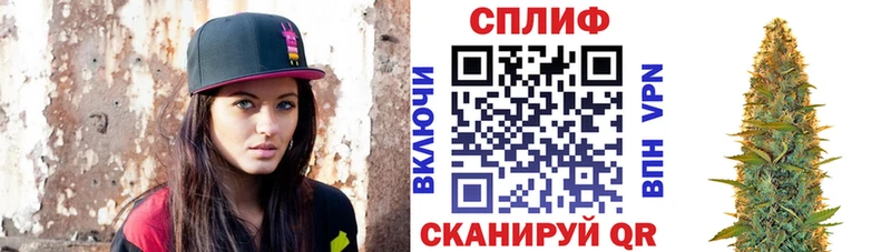 Канабис планчик  это состав  Фёдоровский 